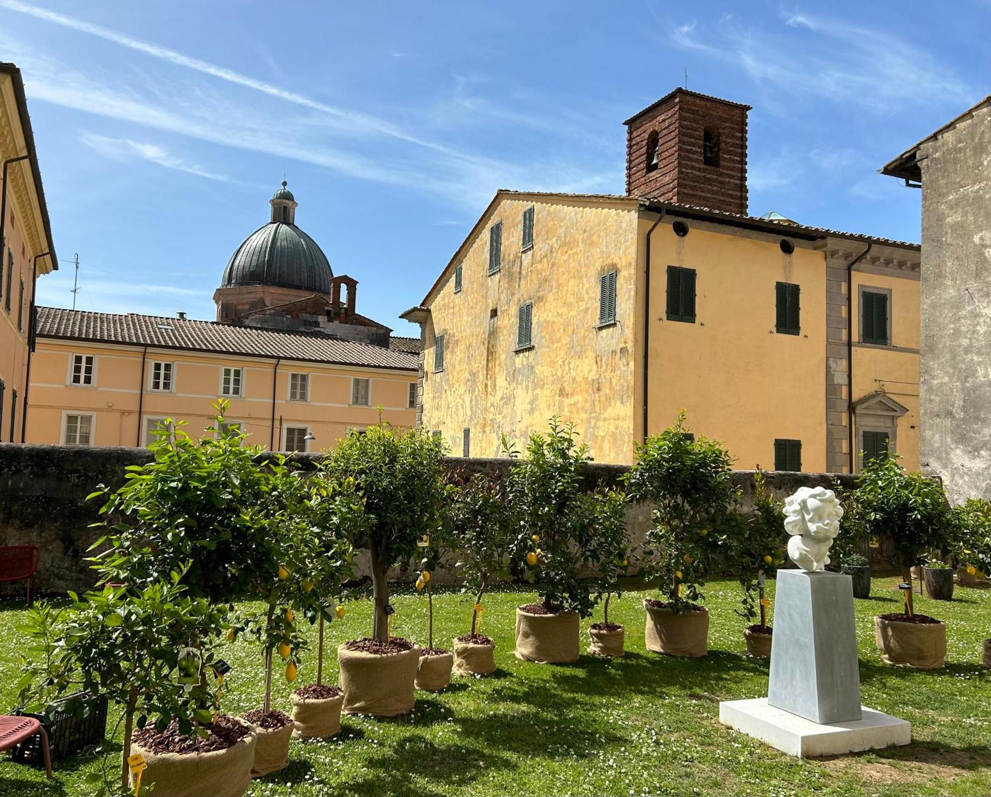 Art Hotel Pietrasanta Exterior foto