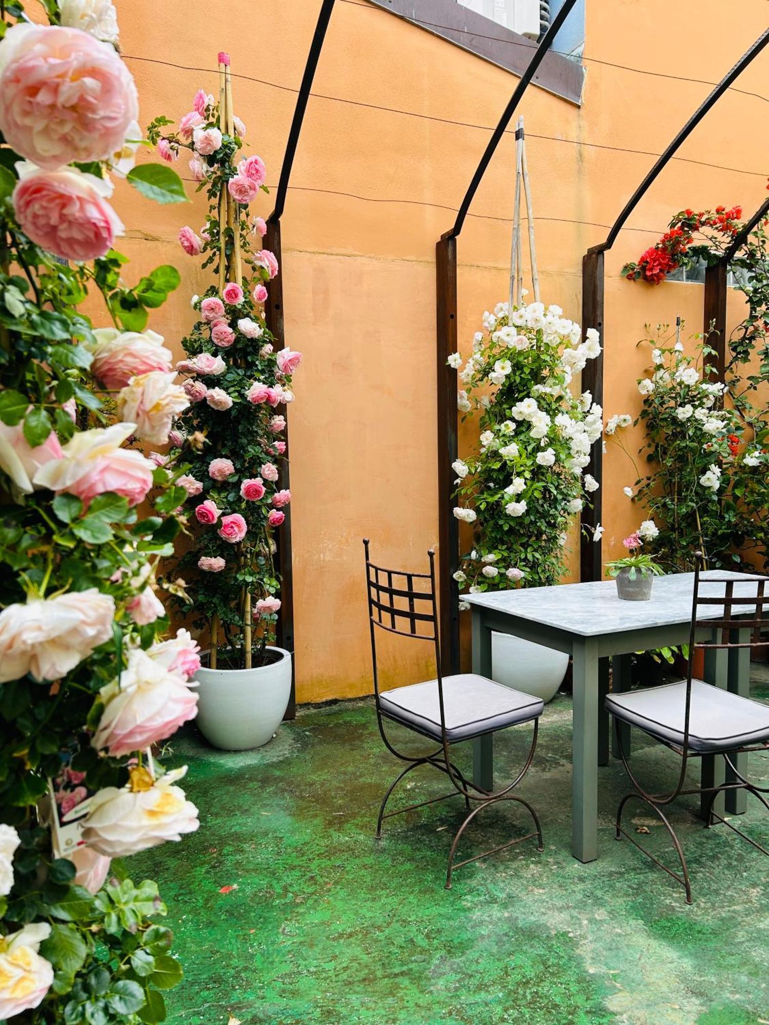 Art Hotel Pietrasanta Exterior foto